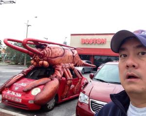 1466103_403931316376379_385256163_n