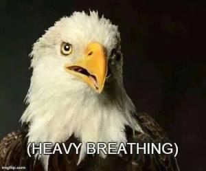 10603224_836784783019246_2730441826522024960_n