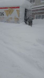 1506706_10154833964935203_6747679114285727371_n