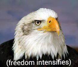 1513749_10203454767876689_5300733259790425752_n