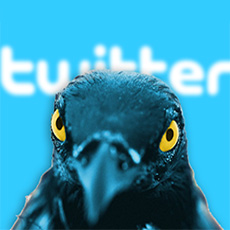 Photo cred: Aaron Lee